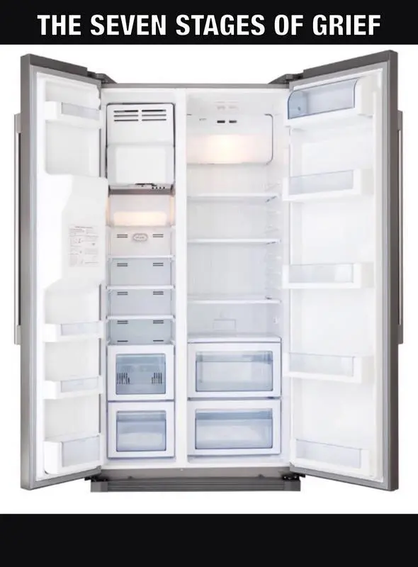 Empty fridge meme for seven stages of grief