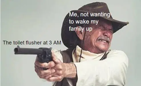 3AM toilet flush meme trying not to wake family