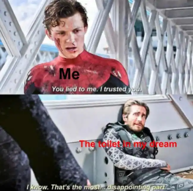 Me facing dream toilet meme you lied to me