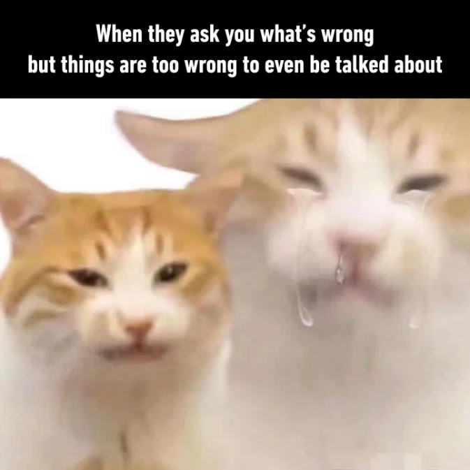 Smiling crying cat meme hiding unspoken pain