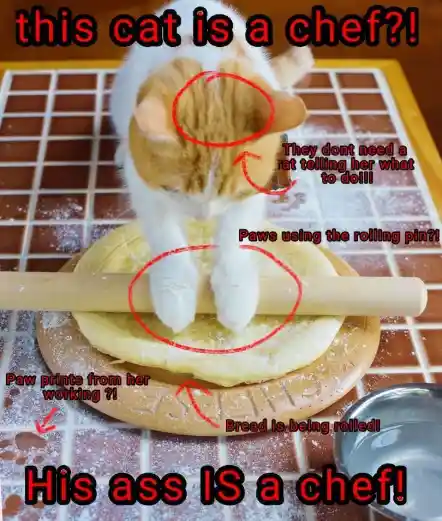 Cat Chef meme rolling bread dough