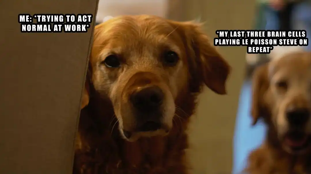 Trying to act normal at work meme peeking dog