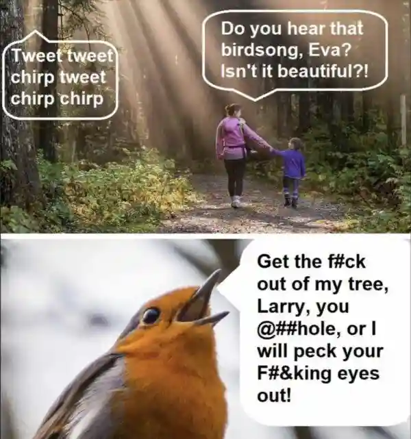 Swearing bird meme cursing at forest hikers