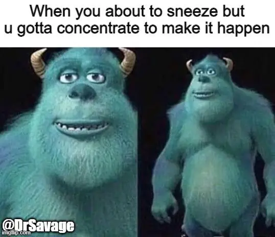 Sulley Sneeze meme trying to force a sneeze