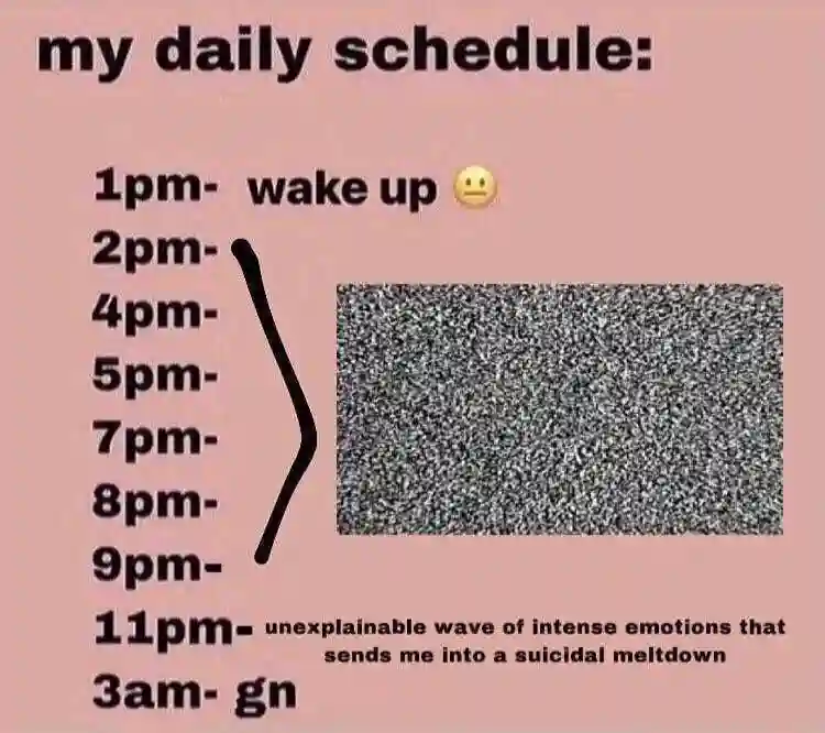Daily schedule meme with empty hours as static