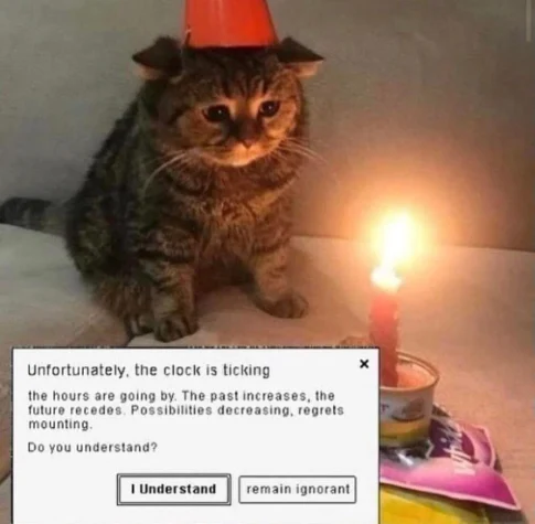 Sad birthday cat meme with time warning