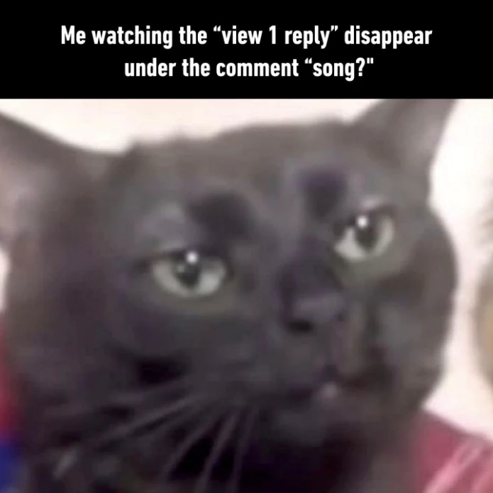 View 1 reply gone meme puzzled at song comment