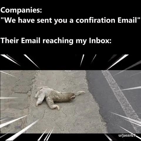 Company confirmation email meme slow sloth crawling on road
