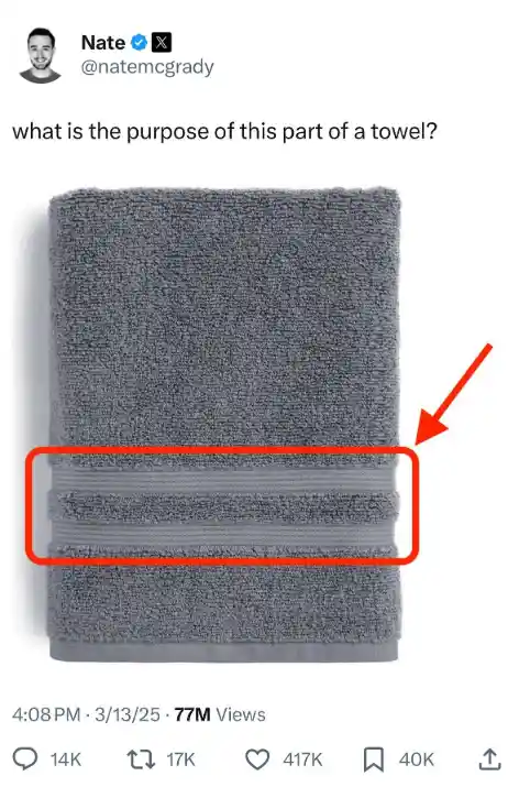 Towel Strip meme asking for its purpose