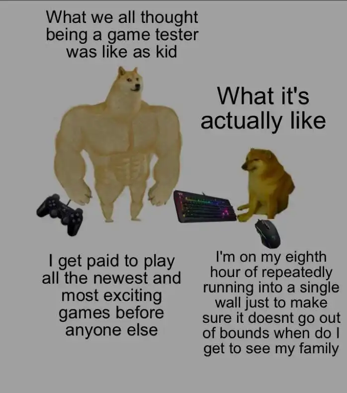 Game tester meme expectation vs reality