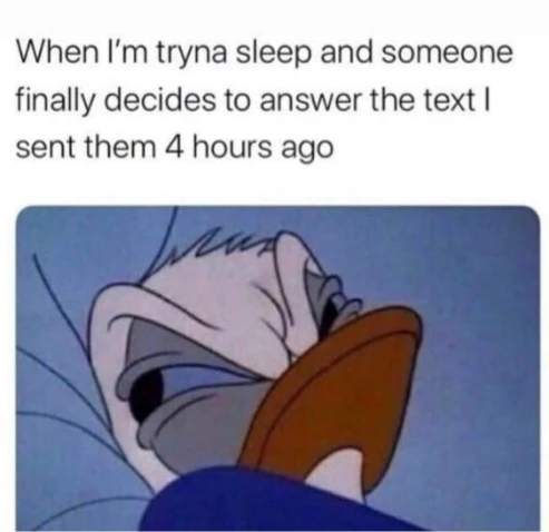 4 hour late text reply meme annoyed sleepy