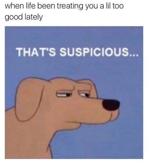 Suspicious dog meme doubting overly good life