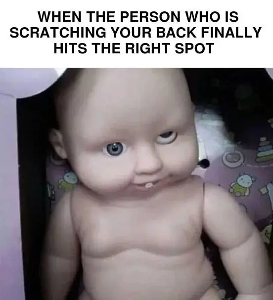 Back scratch right spot meme silly face