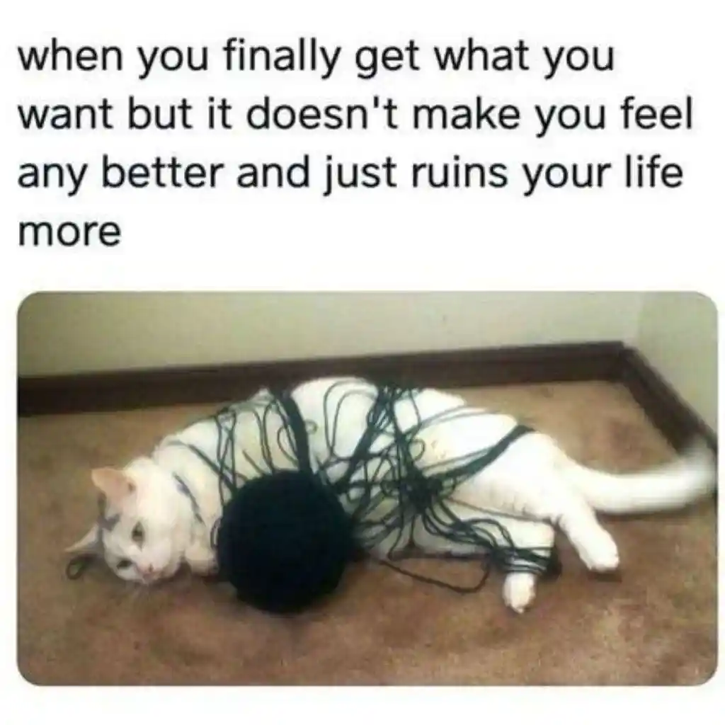 Tangled yarn cat meme looking defeated