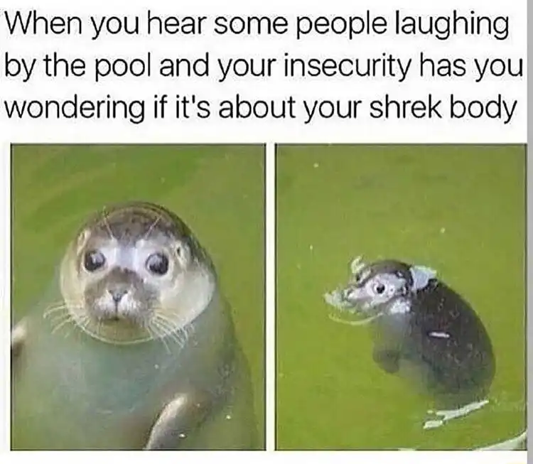 Seal meme worrying others laugh at shrek body