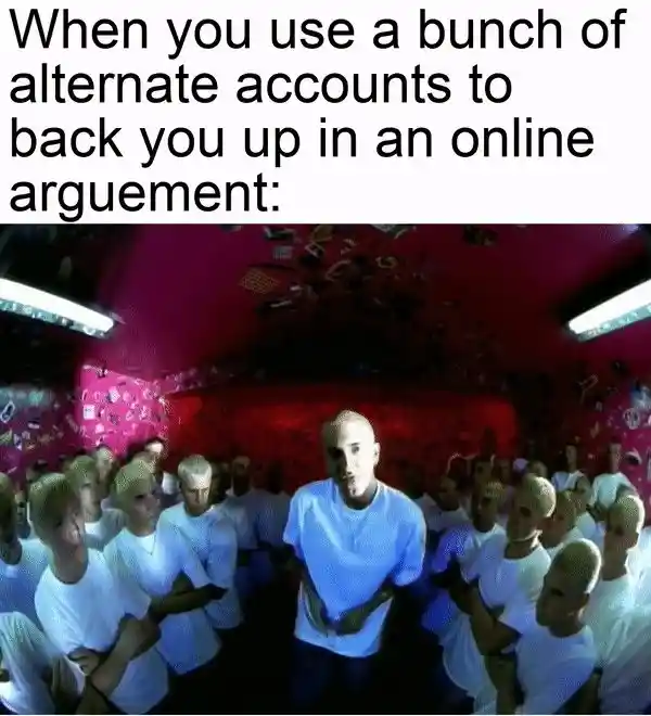 Slim Shady meme alt accounts back you up