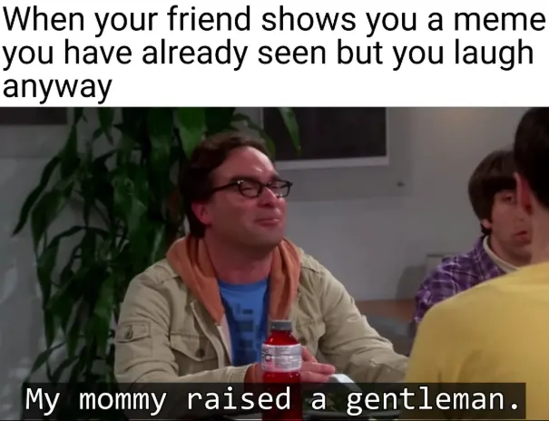 Friend shows old meme meme you laugh politely