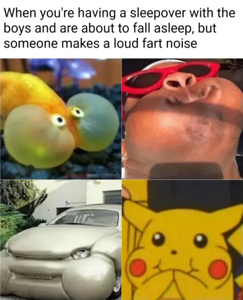 Boys sleepover fart meme stifling laugh