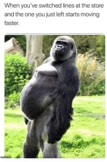 Gorilla store line switch meme looking annoyed