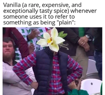 Vanilla meme mad at being called plain