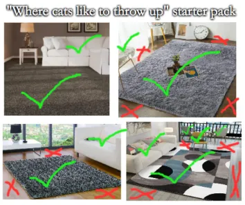 Cat Puke Starter Pack meme marking home spots
