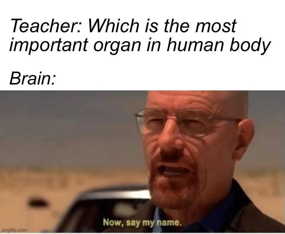 Breaking bad say my name meme teacher asks body organ