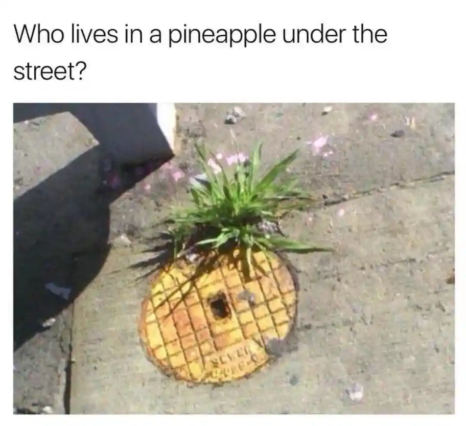 Pineapple under street meme grass on manhole