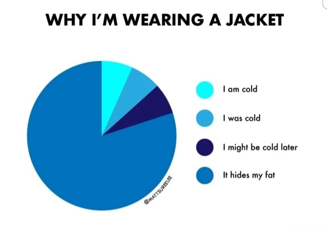 Jacket reason pie chart meme funny relatable