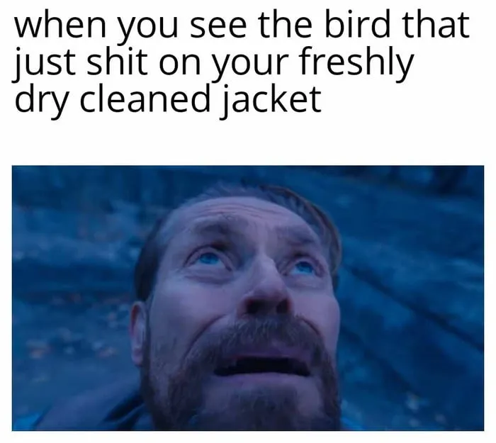 Willem dafoe looking up meme seeing bird that pooped
