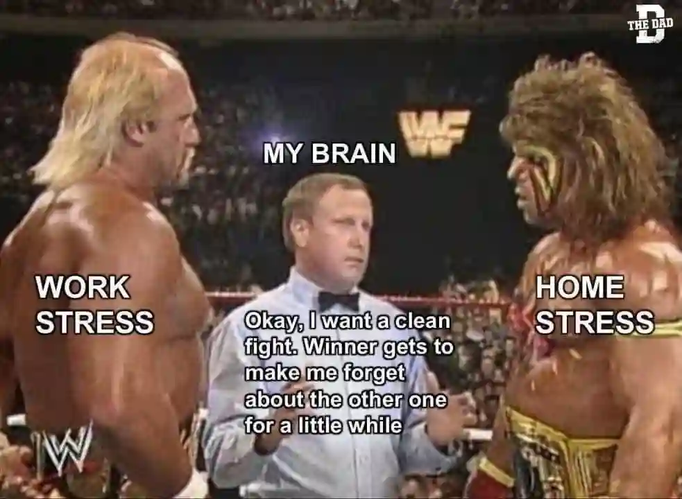 Work Home Stress meme brain picks winner