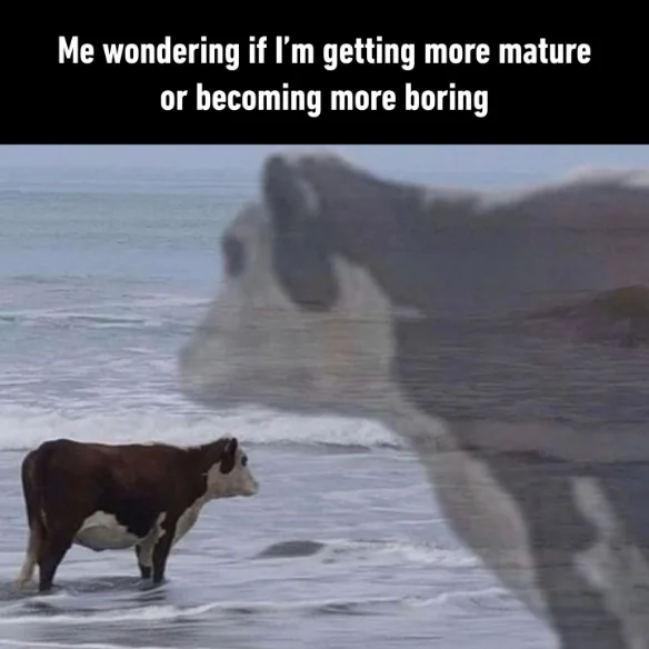 Ocean cow meme, wondering if mature or boring