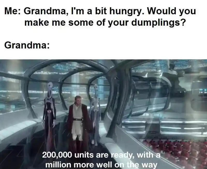 Grandma dumpling meme, huge food batch ready
