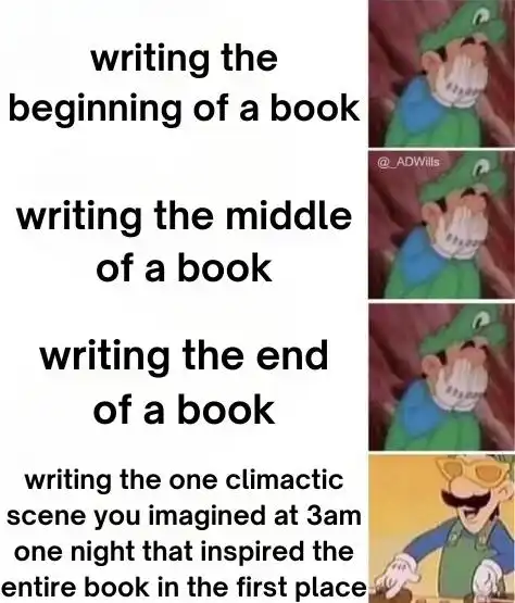 Book writing meme hyped for 3am imagined scene