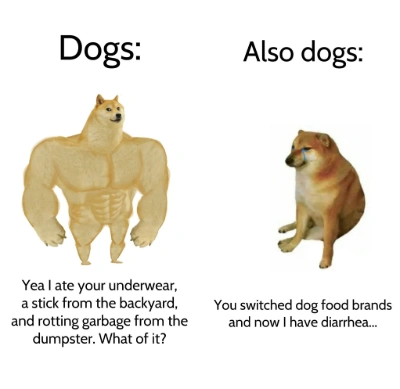 Dogs meme unbothered vs sad over new food