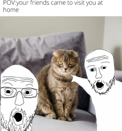Friends Visiting Cat meme point at your cat