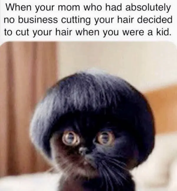 Mom bad haircut meme cat with bowl cut