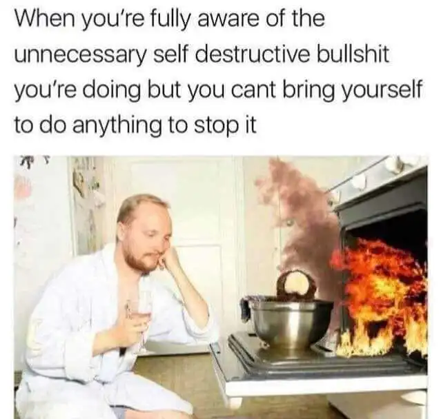 Self destructive meme ignoring burning oven
