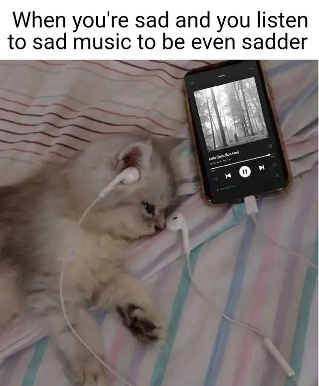 Sad cat listening to sad music to be sadder meme
