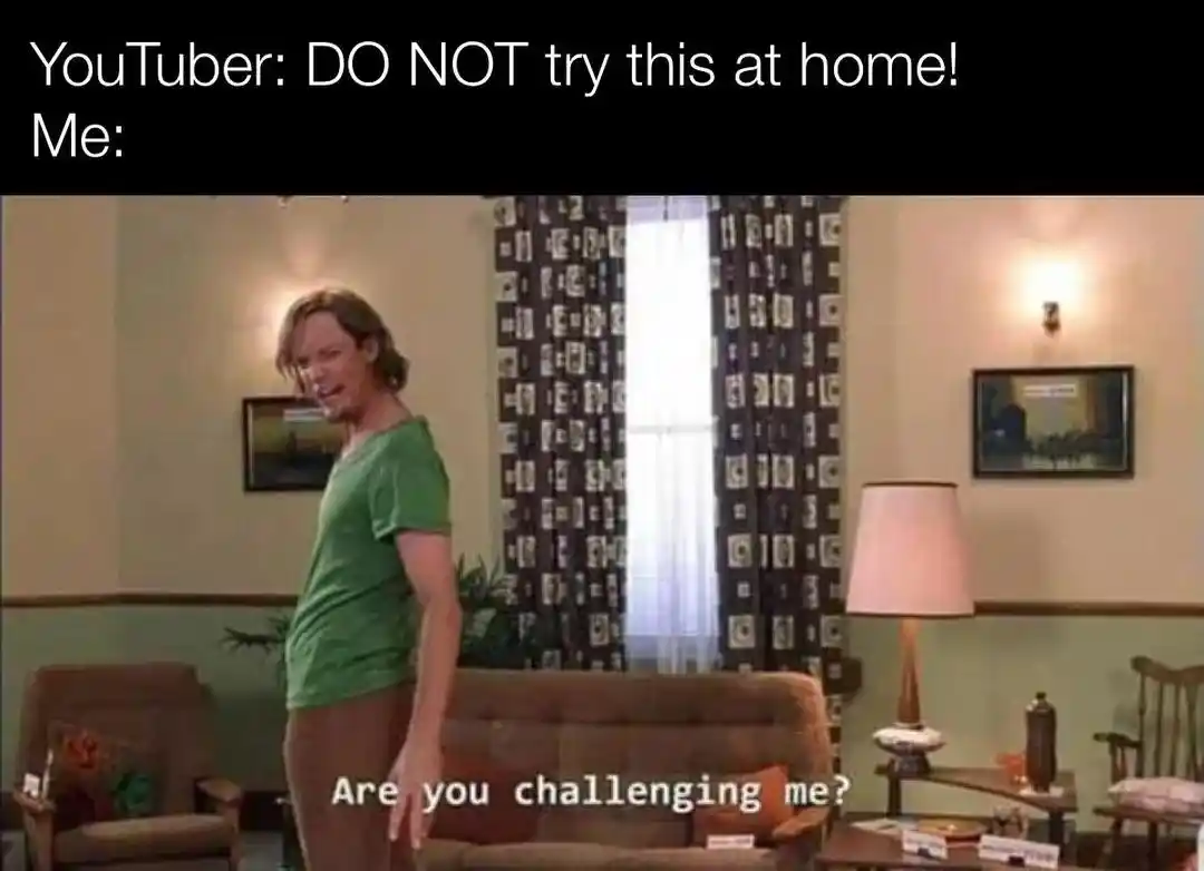 Youtuber do not try this at home meme shaggy are you challenging me