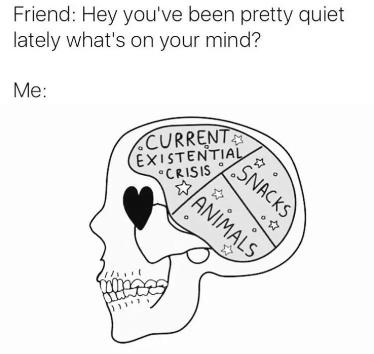 Friend asks what's on your mind meme brain full of crisis snacks animals